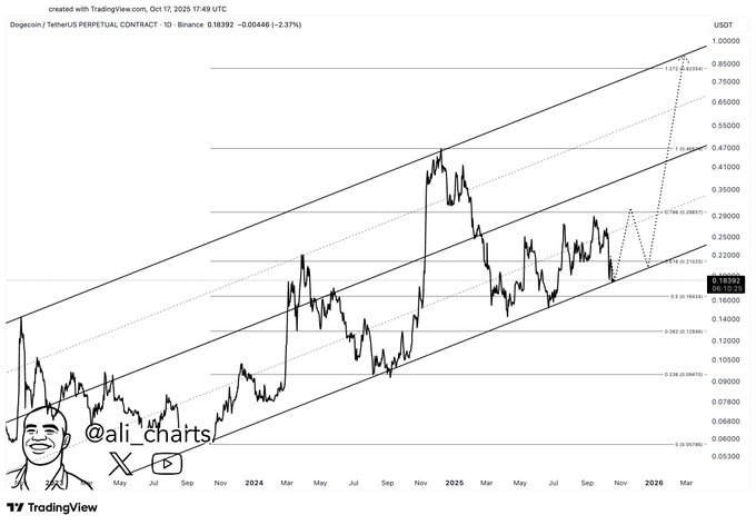 1760892923 772 Voici les principaux niveaux de prix de Dogecoin a surveiller