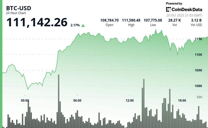 Le rebond du Bitcoin stagne alors que XRP et Zcash gagnent du terrain ; Arca dit que le rallye n'est pas un rebond de chat mort