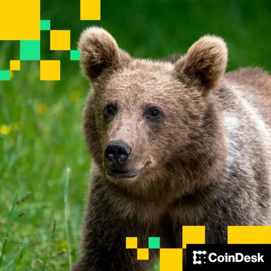 "Le MSTR de Michael Saylor conserve sa prime au milieu d'un sentiment décroissant". D’autres peuvent-ils faire de même ?