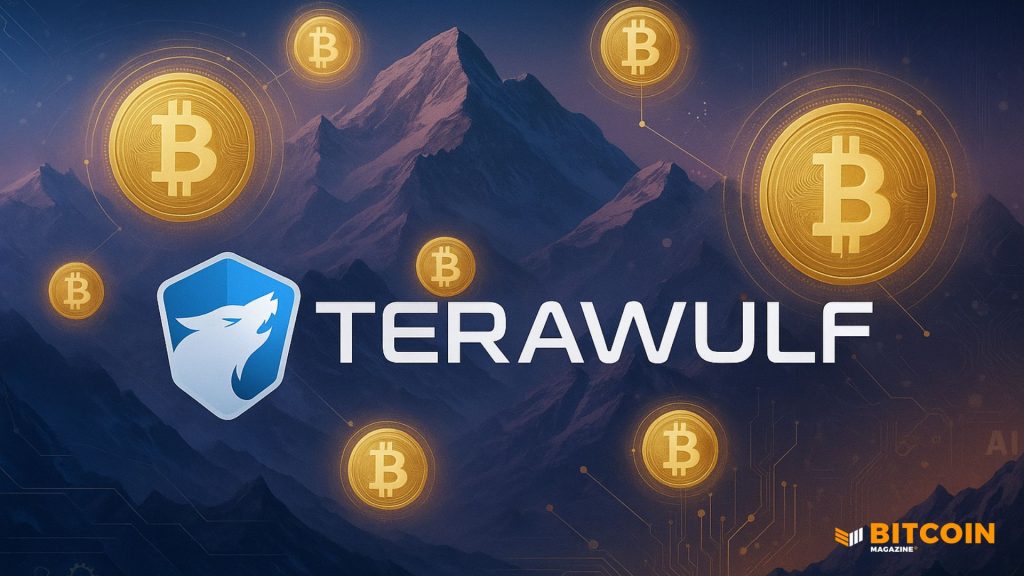 L'action de Bitcoin Miner TeraWulf (WULF) bondit de 25 % grâce à l'IA News L'action de Bitcoin Miner TeraWulf (WULF) bondit de 25 % grâce à l'IA News