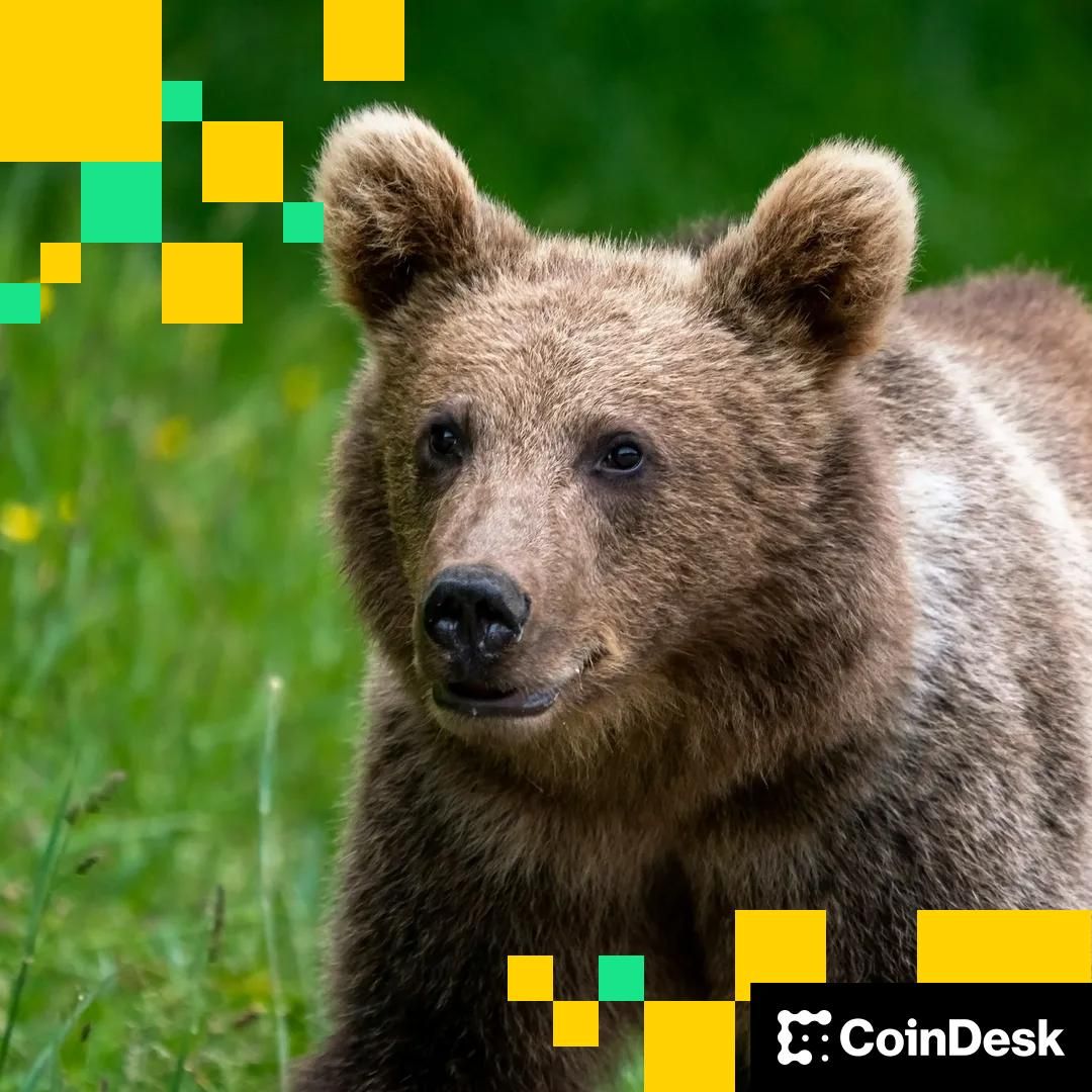 "Le MSTR de Michael Saylor conserve sa prime au milieu d'un sentiment décroissant". D’autres peuvent-ils faire de même ? Le MSTR de Michael Saylor conserve sa prime au milieu