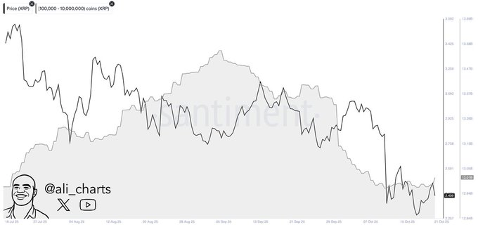 Les baleines XRP accumulent 30 millions de dollars en 24 heures ; Est-ce que 3 $ sont le prochain ? Les baleines XRP accumulent 30 millions de dollars en 24