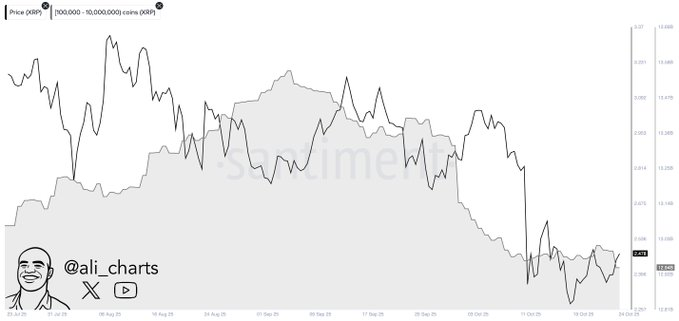 Les baleines XRP en pleine frenesie de vente en dechargent