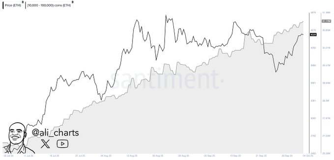 Prédiction des prix Ethereum comme baleines scoop 800k eth en une semaine Prediction des prix Ethereum comme baleines scoop 800k eth en