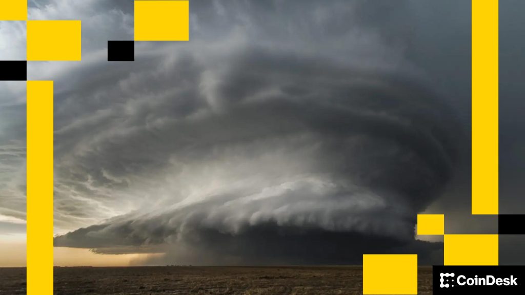 Rallye alimentée par «Perfect Storm», ETH, DOGE, BNB SURGE Rallye alimentée par «Perfect Storm», ETH, DOGE, BNB SURGE