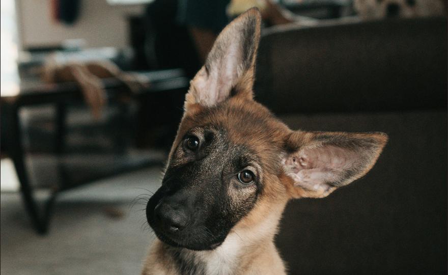 Même les marchés de prédiction n'ont pas vu venir la vente de BTC