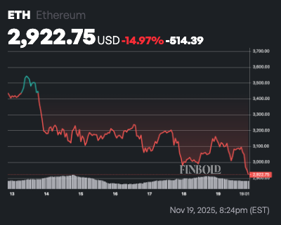 Ethereum est prêt pour un « rebond de chat mort », selon un expert 1763626785 99 Ethereum est pret pour un rebond de chat mort