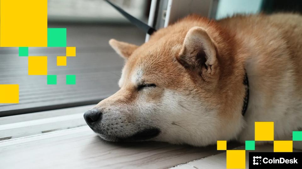 Dogecoin bat les Blue Chips alors que DOGE décide d'arrêter