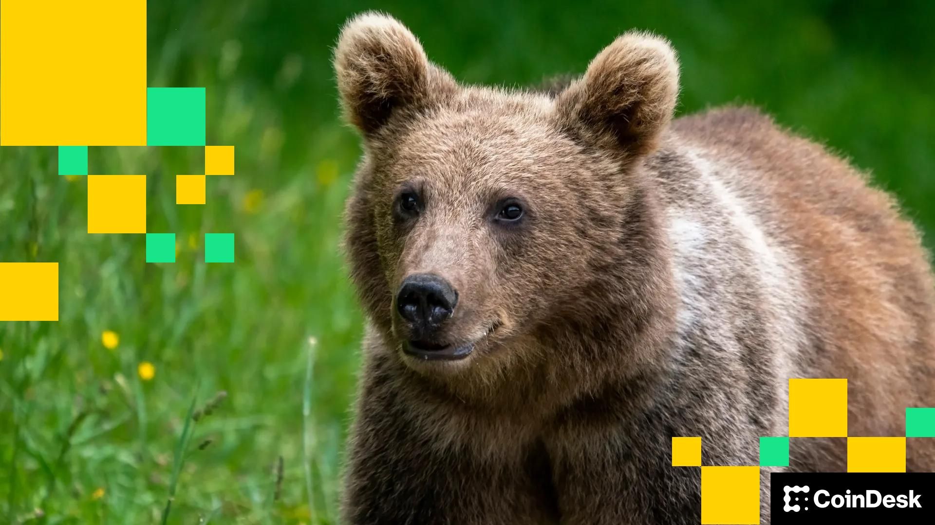 Extremement baissier Le nouvel objectif de prix du Bitcoin est il