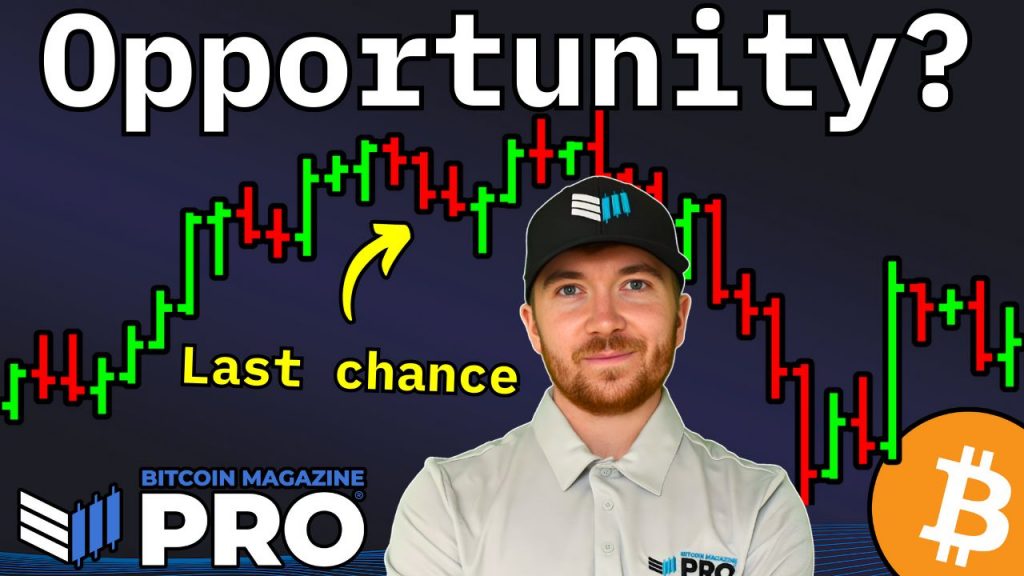 Les sociétés de trésorerie Bitcoin sont sous-évaluées Matt Crosby