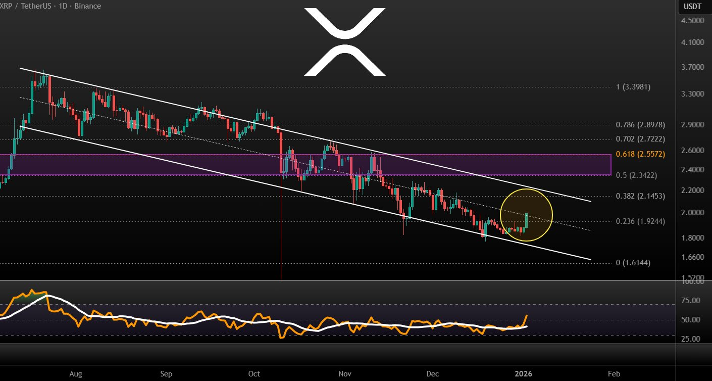 1767535042 704 Les baleines chargent 36 milliards de dollars en ETF XRP