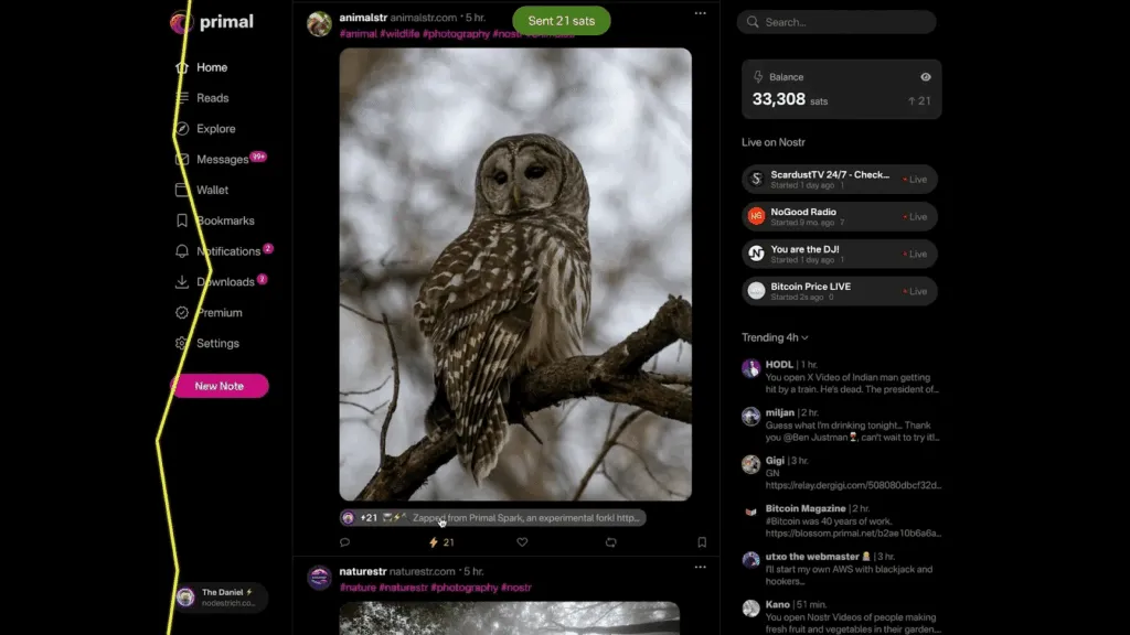 Time2Build 2025 Winners: Breez Awards Bitcoin Prizes for Lightning Integrations in BTCPay Server, Primal, and More 4 1768503906 343 Breez decerne des prix Bitcoin pour les integrations Lightning dans