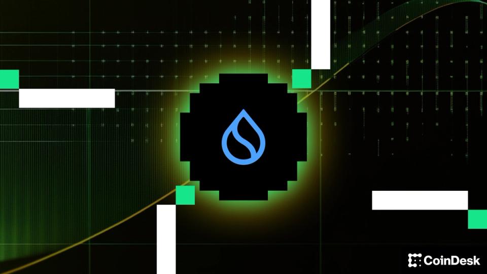 Sui Group (SUIG) trace une nouvelle voie pour les trésoreries cryptographiques avec les pièces stables et DeFi