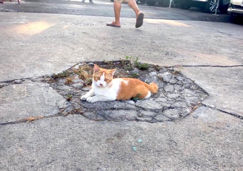 Crypto, hein ! A quoi ça sert ? [reader question]