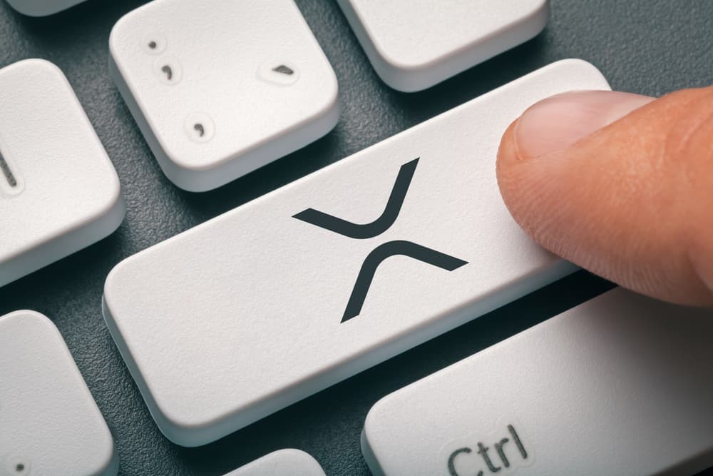 Number of XRP addresses created in 2026 crashes over 65%