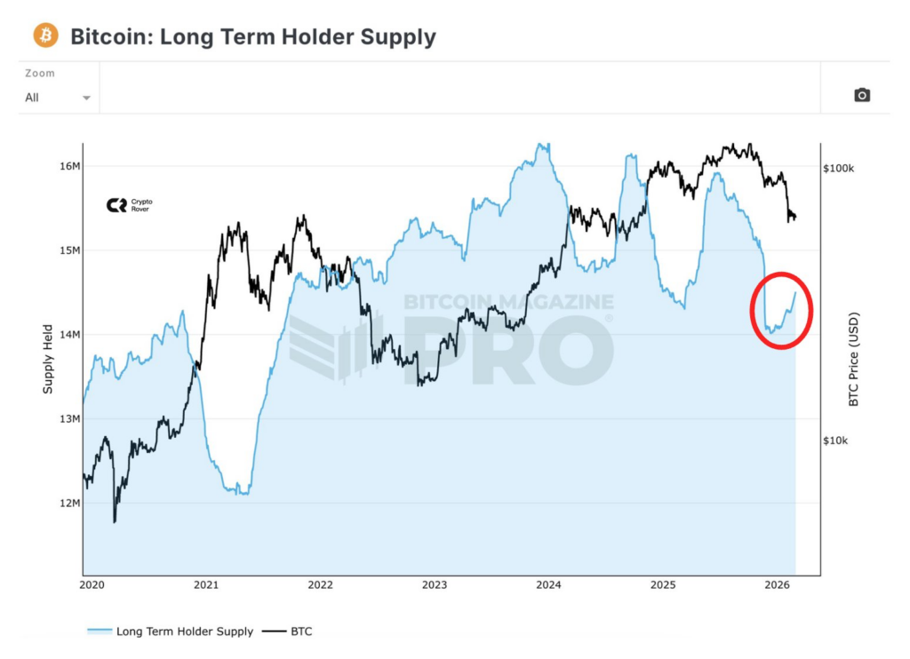 1772679546 719 Les requins Bitcoin sont en pleine frenesie dachat voici