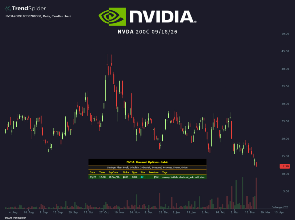 1774134044 227 Le pari de 5 millions de dollars de cette baleine