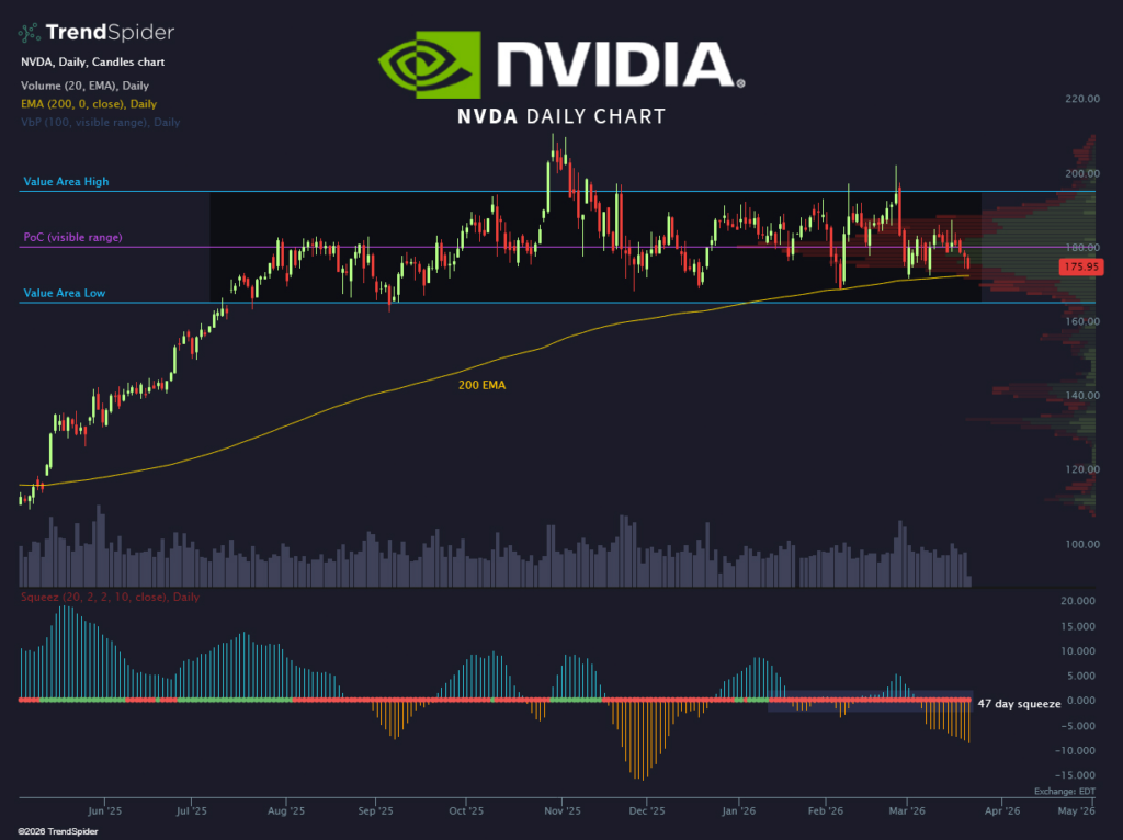 1774134044 859 Le pari de 5 millions de dollars de cette baleine