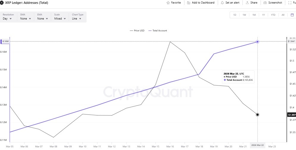 Les adresses actives XRP crashent de plus de 40