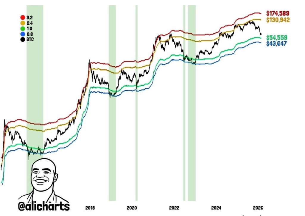 Les requins Bitcoin sont en pleine frenesie dachat voici