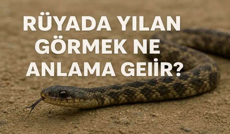 Rüyada Yılan Görmek Ne Anlama Gelir?