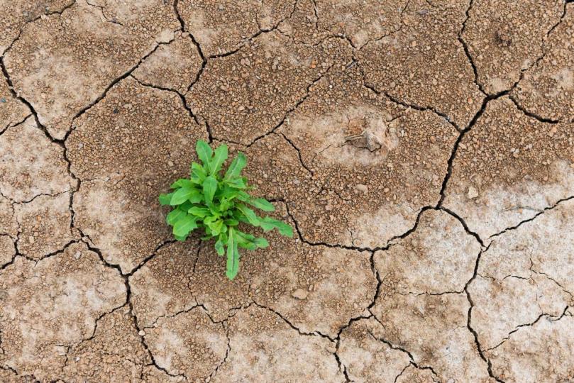 Le bouleversement de DeFi est un test de résistance, pas une condamnation à mort