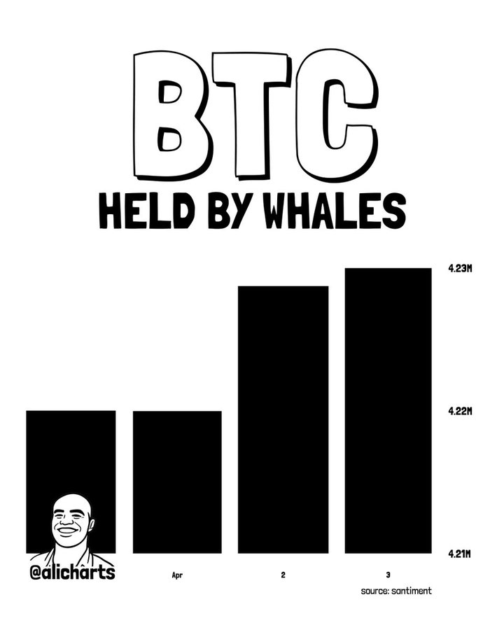 Prediction du prix du Bitcoin alors que les baleines acquierent