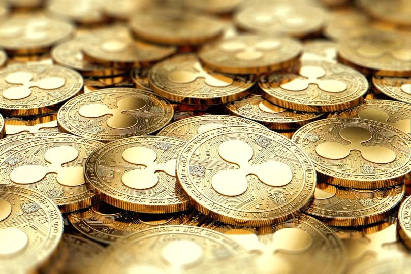 Les ETF XRP attirent des entrées dans un contexte d'augmentation des portefeuilles. Bitcoin et les fonds éther ont du mal.