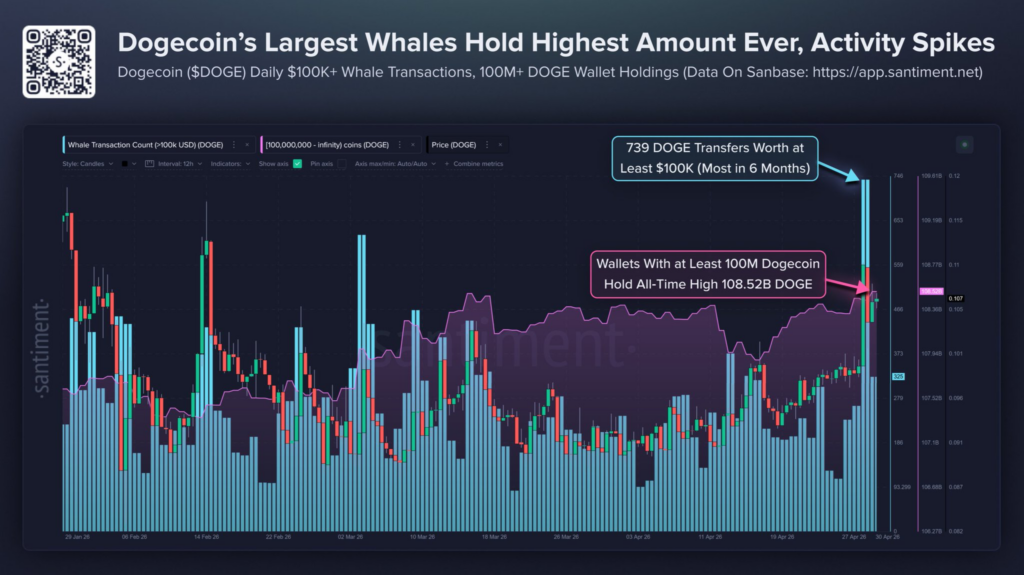 Les baleines Dogecoin ont atteint un niveau dactivite record de