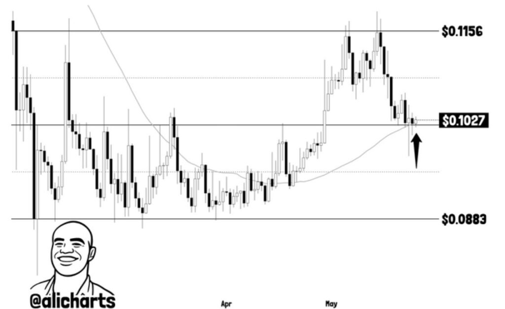 Un analyste de crypto fixe des objectifs de prix pour Dogecoin Un analyste de crypto fixe des objectifs de prix pour