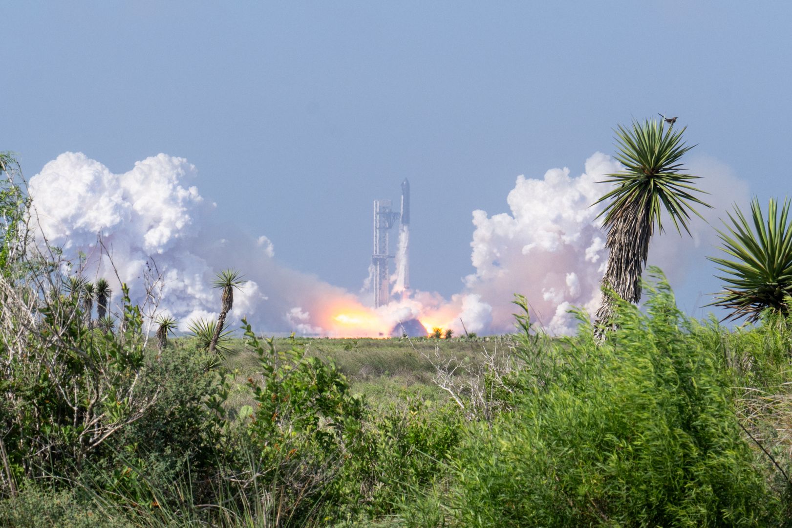 SpaceX vise une introduction en bourse record de 75 milliards